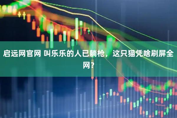 启远网官网 叫乐乐的人已躺枪，这只猫凭啥刷屏全网？